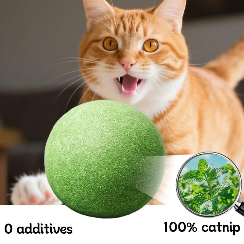 Cats Can'T Resist It: Natural Giant Catnip Ball - 10Cm, Safe & Edible, Regulates Intestinal Health, for Cats to Chew and Play With, a Super Fun Toy