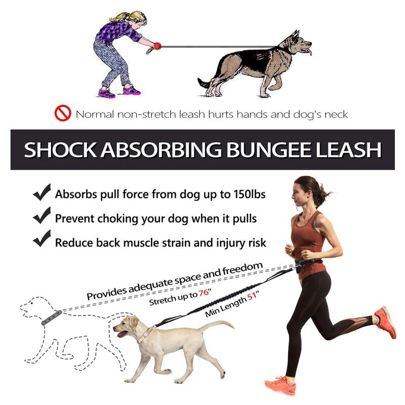 Ultimate Hands-Free Dog Leash with Zipper Pouch - Perfect for Running, Hiking, and Training Medium to Large Dogs!