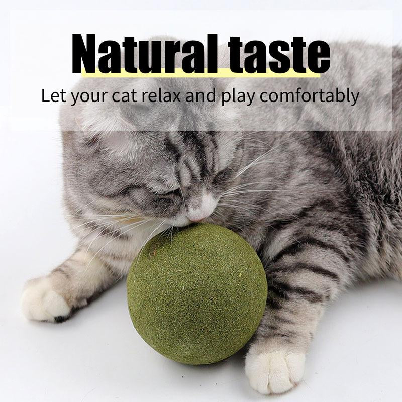 Cats Can'T Resist It: Natural Giant Catnip Ball - 10Cm, Safe & Edible, Regulates Intestinal Health, for Cats to Chew and Play With, a Super Fun Toy