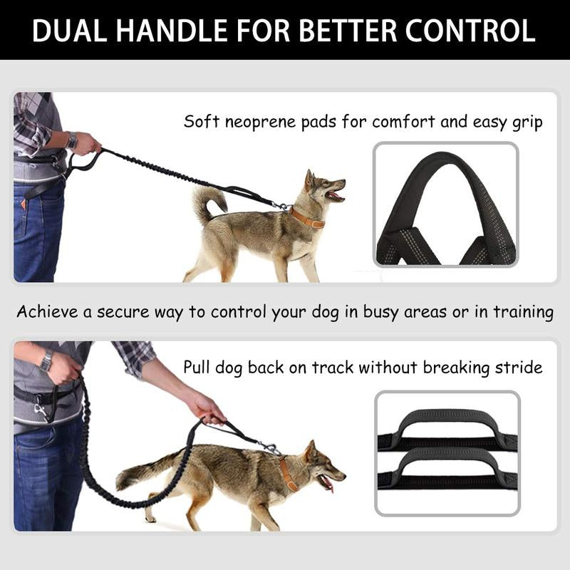 Ultimate Hands-Free Dog Leash with Zipper Pouch - Perfect for Running, Hiking, and Training Medium to Large Dogs!